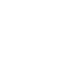 Visualization We explain